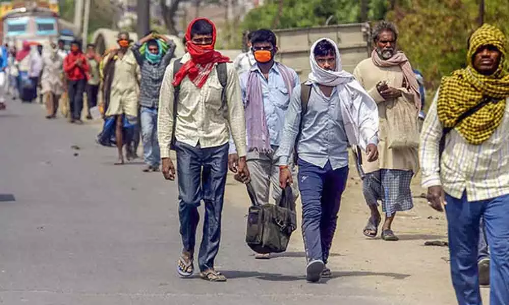 Srikakulam: MLA S Appala Raju helps migrant workers reach home district