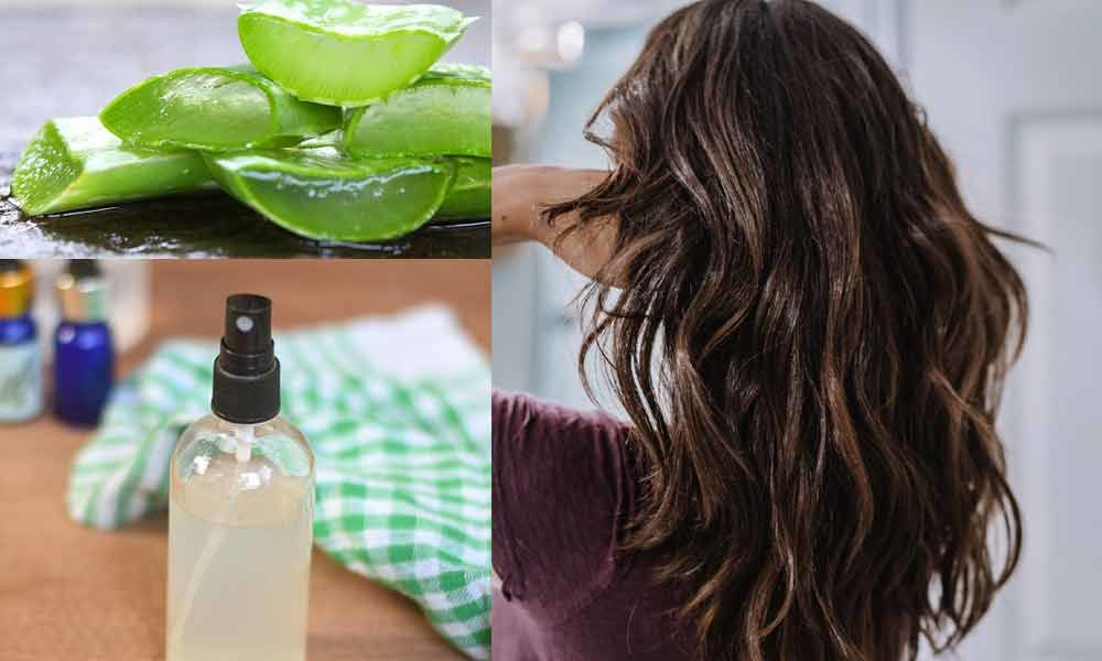Aloe Vera – Ginger Hair Spray: A Simple Hair HackTo Own Those Healthy And  Shiny Tresses