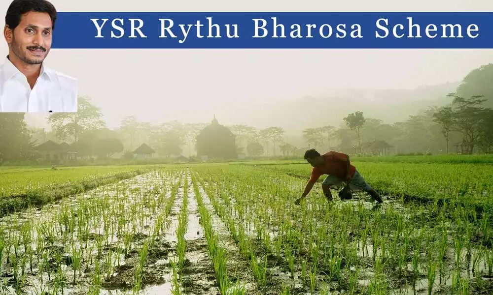 YSR Rythu Bharosa-PM Kisan scheme: First instalment disbursal today