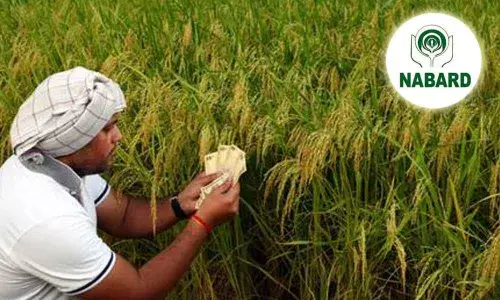 Andhra Pradesh: Farming sector to get boost from NABARD aid