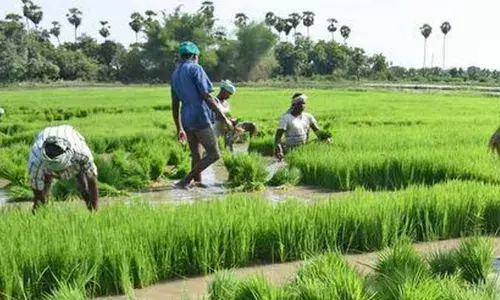 Telangana: State Agriculture Department is to rope in the NACH launched by the NPCI
