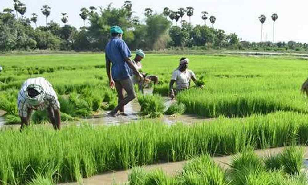 Telangana: State Agriculture Department is to rope in the ...