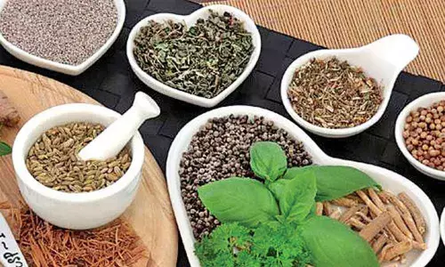 Hyderabad: Unani drugs that help resist Covid approved