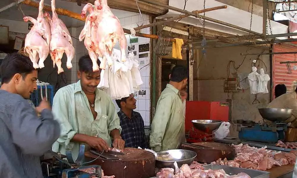 Srikakulam: Chicken prices skyrocket in state