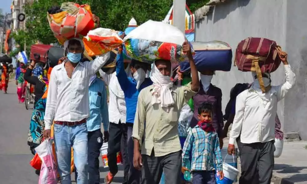 Andhra govt decides to provide free travel facility to evacuate migrant workers amid lockdown