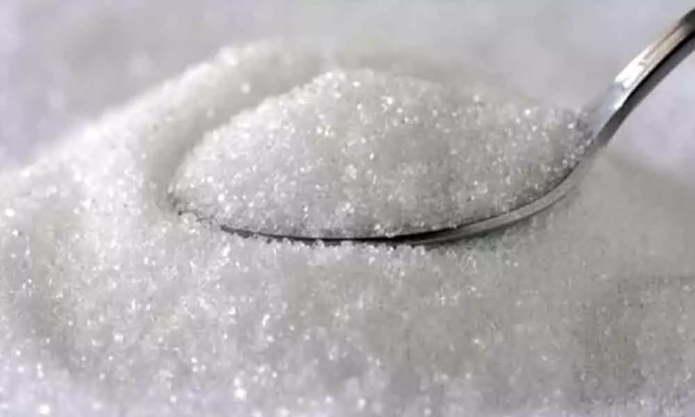 Indias sugar production falls nearly 19% till May 15
