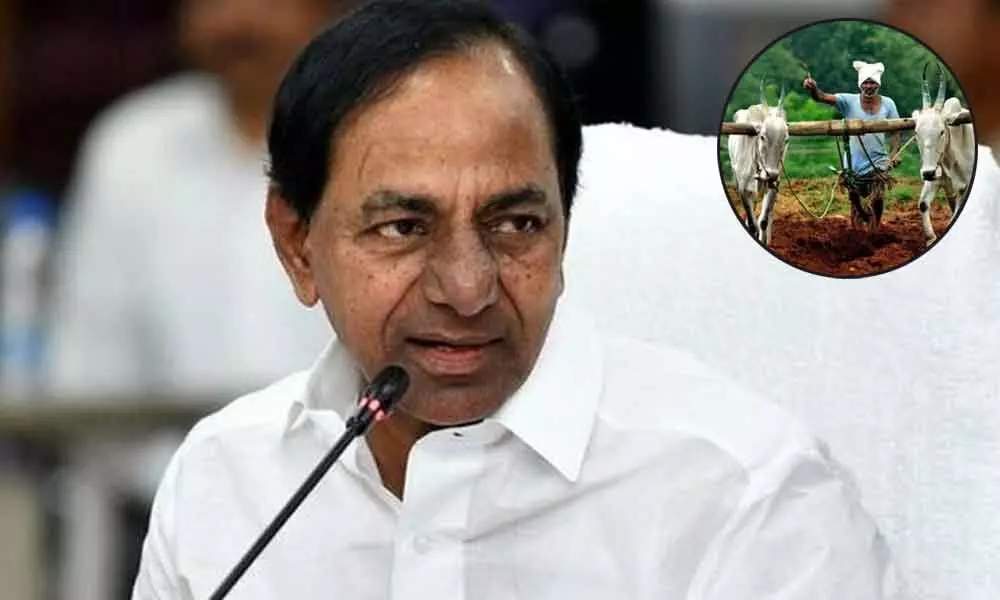Making farmer the KING: KCR ushers in new Agriculture Policy