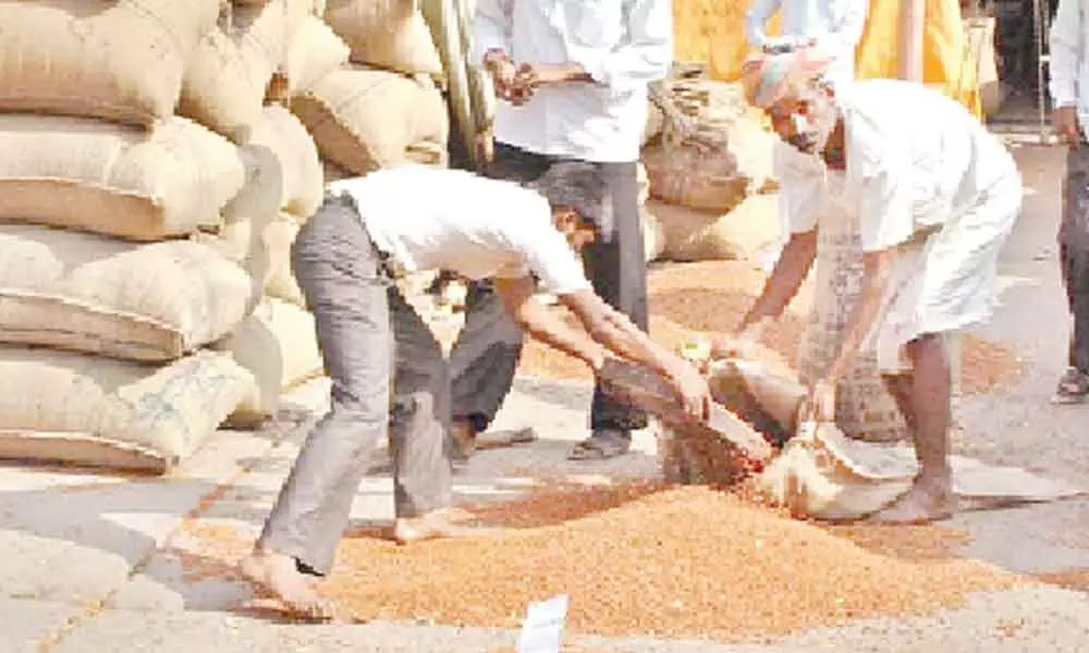 Bhongir: Red gram farmers trapped in debts due to stalled payments