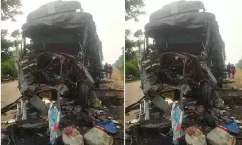 Lorry driver and cleaner dies in a road accident in West Godavari