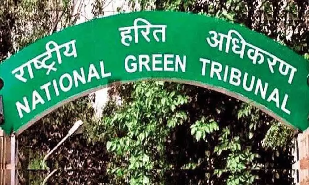 National Green Tribunal