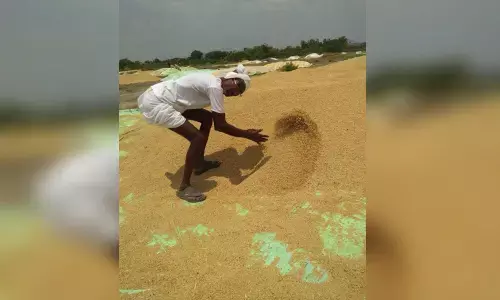 KCR to launch new agricultural policy from Karimnagar