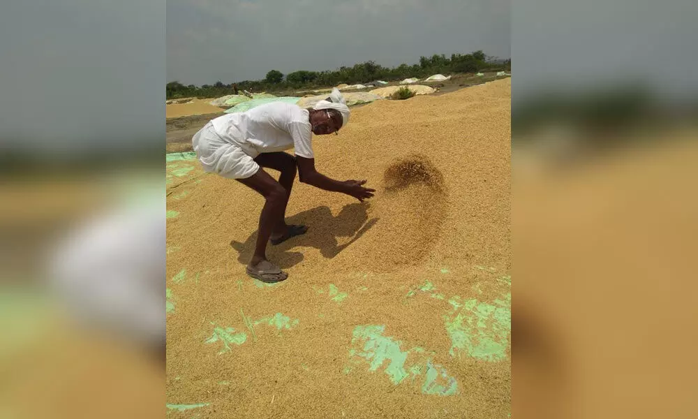 KCR to launch new agricultural policy from Karimnagar