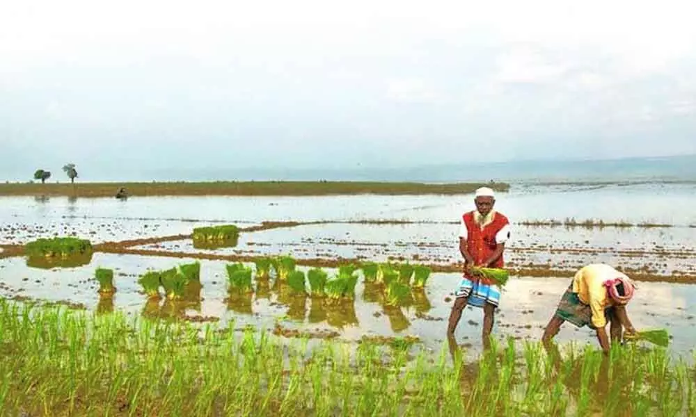 Water to be released for irrigation of kharif crops in East Godavari