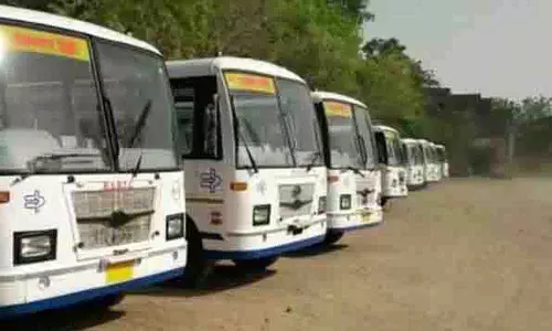 Free buses in Rajasthan for immersion