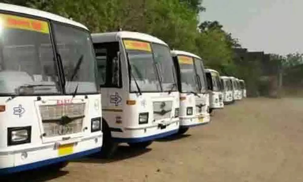 Free buses in Rajasthan for immersion