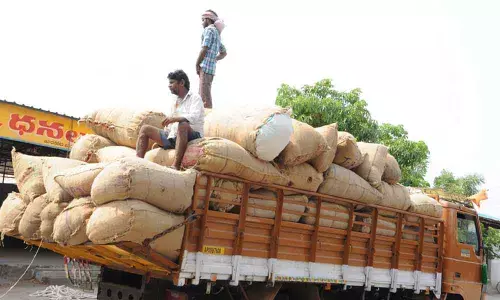 Trading activity begins at Guntur Mirchi Yard