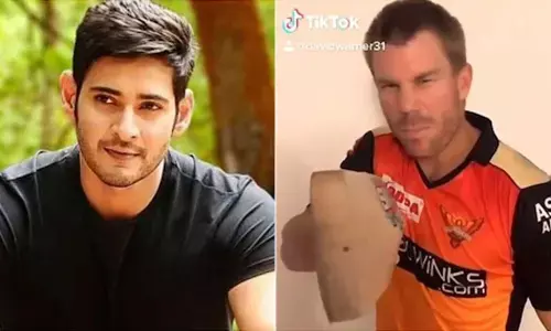 TikTok: This Time Its Mahesh Babus Babu Nuvvu Chepu Song For David Warner