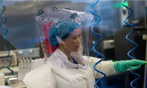 Chinas bat woman warns corona is just tip of iceberg