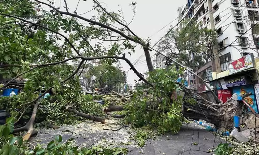 Adhir writes to Prime Minister, seeks more Army men for cyclone-hit Bengal