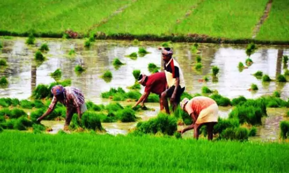 Key challenges of comprehensive agriculture policy
