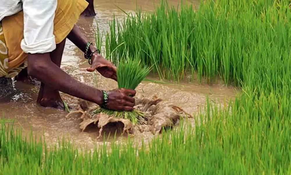 Subsidy to farmers, lend through NABKISAN