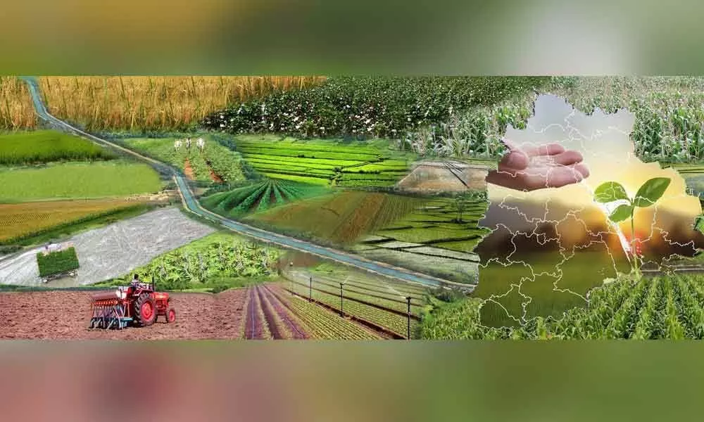 New Telangana agri policy gains traction among farmers