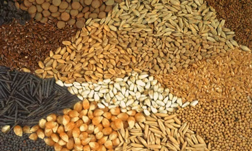 Telangana tops in providing food grains to the country