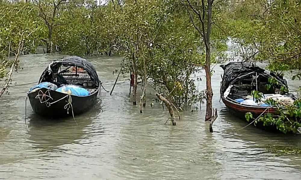 Cyclones worst impact in Sundarbans