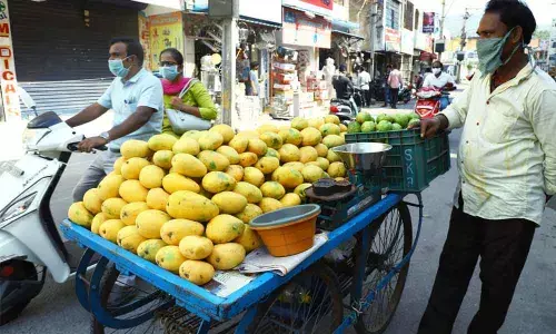 No summer flavours this season