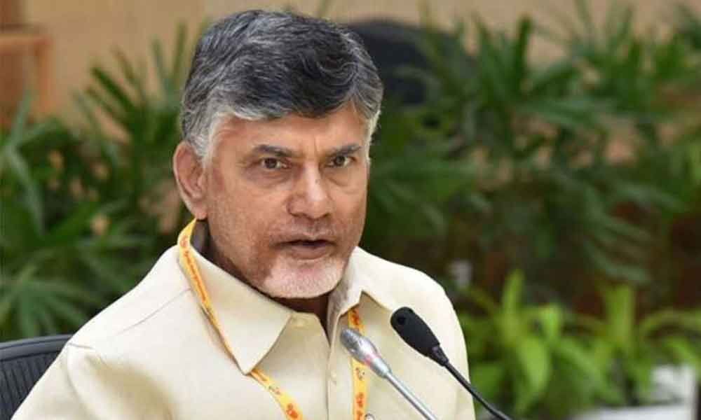 Jagan Hitting Pillars Of Democracy: TDP Chief N Chandrababu Naidu