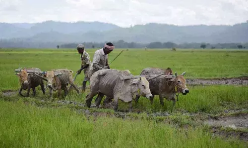 Representational Pic