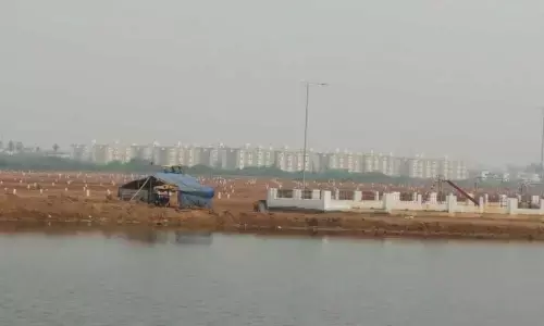 Mangrove territory not correct to build houses