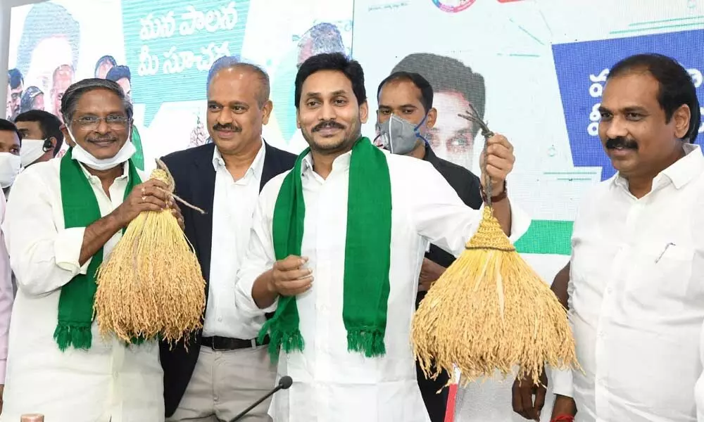 CM YS Jagan Mohan Reddy holding bunches of paddy stalk after launching Rythu Bharosa Kendras at his camp office on Saturday