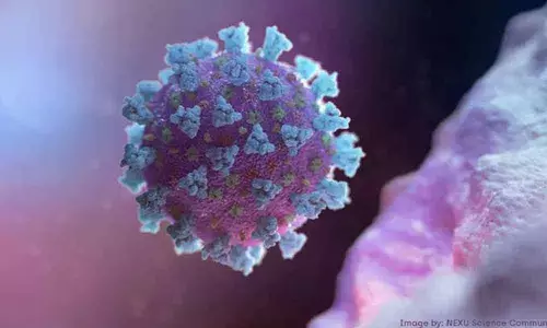 Start-ups caught in Covid-19 web