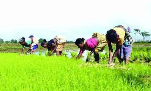 Convert agriculture infrastructure fund into grant: Telangana to Centre