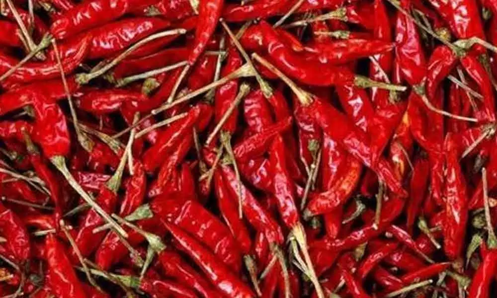 23 tonnes chillies transported from Perecherla to Nagaland