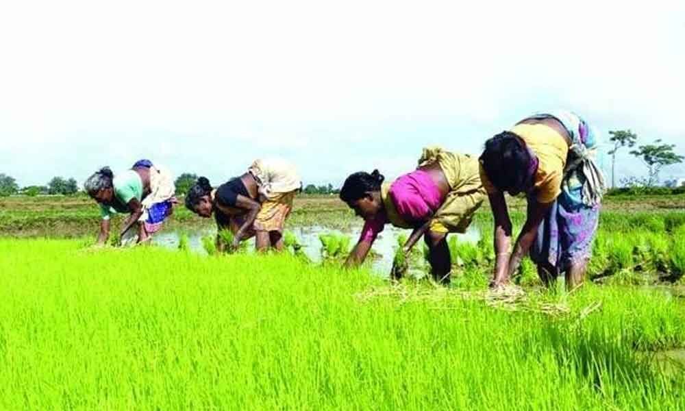 Restoring past glory of Telangana agriculture