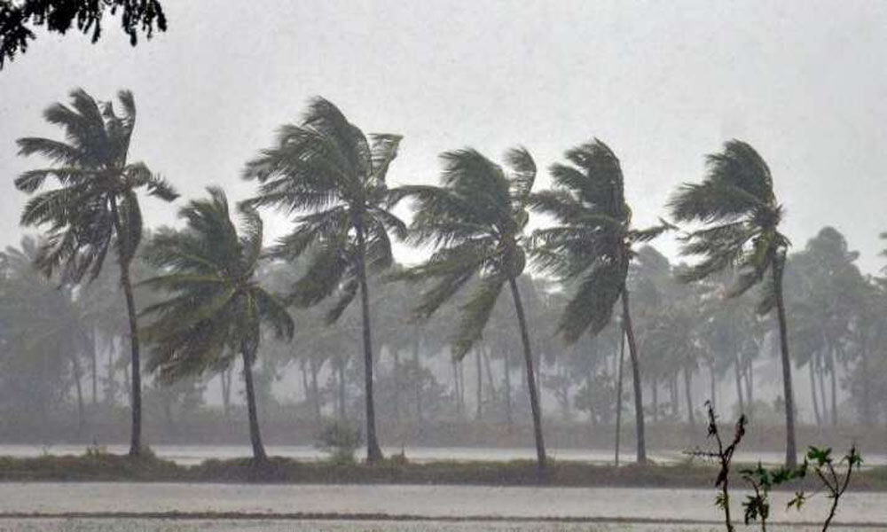 Cyclone Nisarga: Southwest monsoon sets in over Kerala: IMD