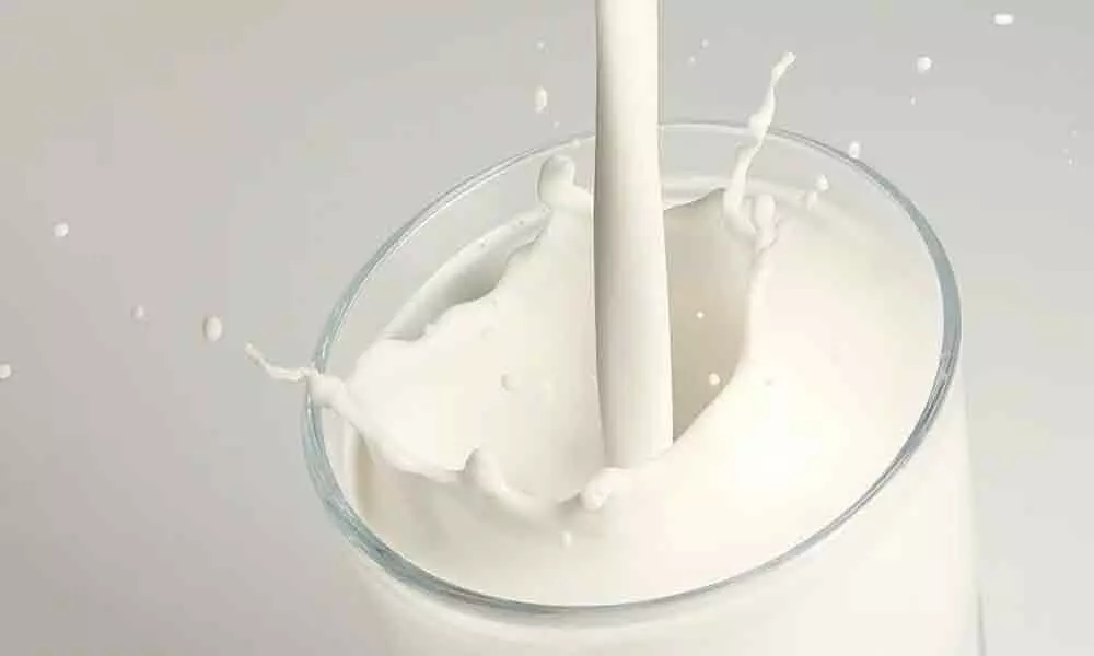 World Milk Day: 5 Amazing Facts Of This Calcium-Rich Dairy Product