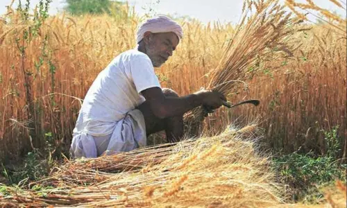 Government hikes Minimum Support Price of Kharif crops to boost farmers income; also raises MSME turnover limit