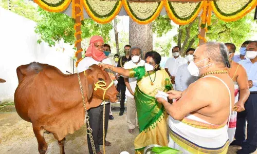 Governor Tamilisai Soundararajan has established a Gaushala on the Raj Bhavan premises on the occasion of her birthday on Tuesday