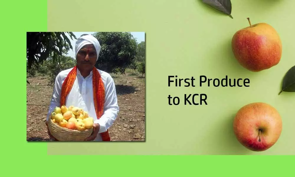 Telanganas lone Apple Grower gifts first batch of Apples to KCR