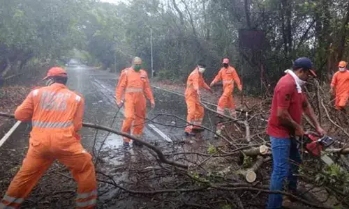 Cyclone Nisarga: Dos And Donts