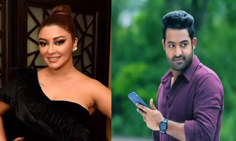 Jr NTR knows how to respect women,says Oosaravelli actress