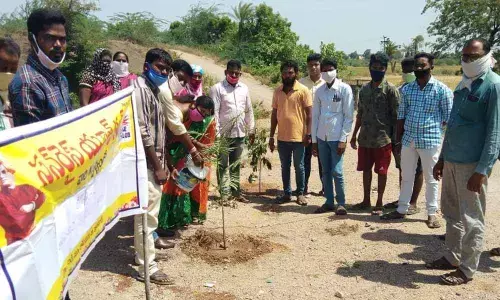Sarpanch G Manasa Praveen planting a sapling in the premises of Gundi village panchayat on Friday