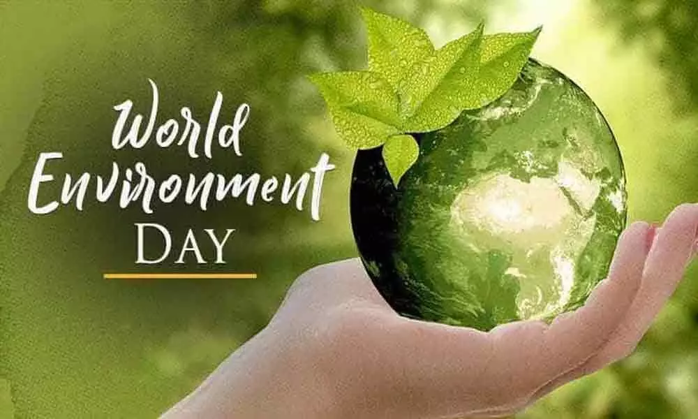 World Environment Day 2020: Its time to pay attention to plant, animal species to Save the planet