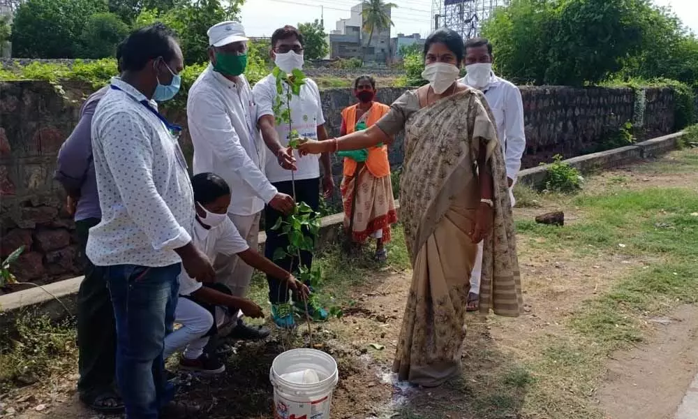 GMC Commissioner Challa Anuradha planting saplings on the occasion of World Environment Day in Guntur on Friday