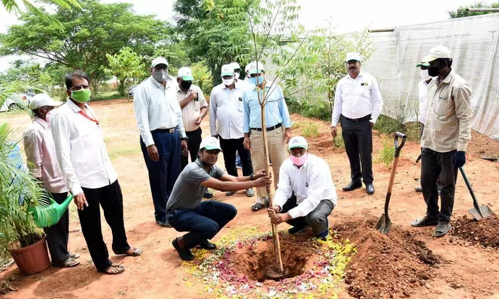 Pratap Reddy,  Executive Director, APIIC and others planting  samplings at Sri City on Friday