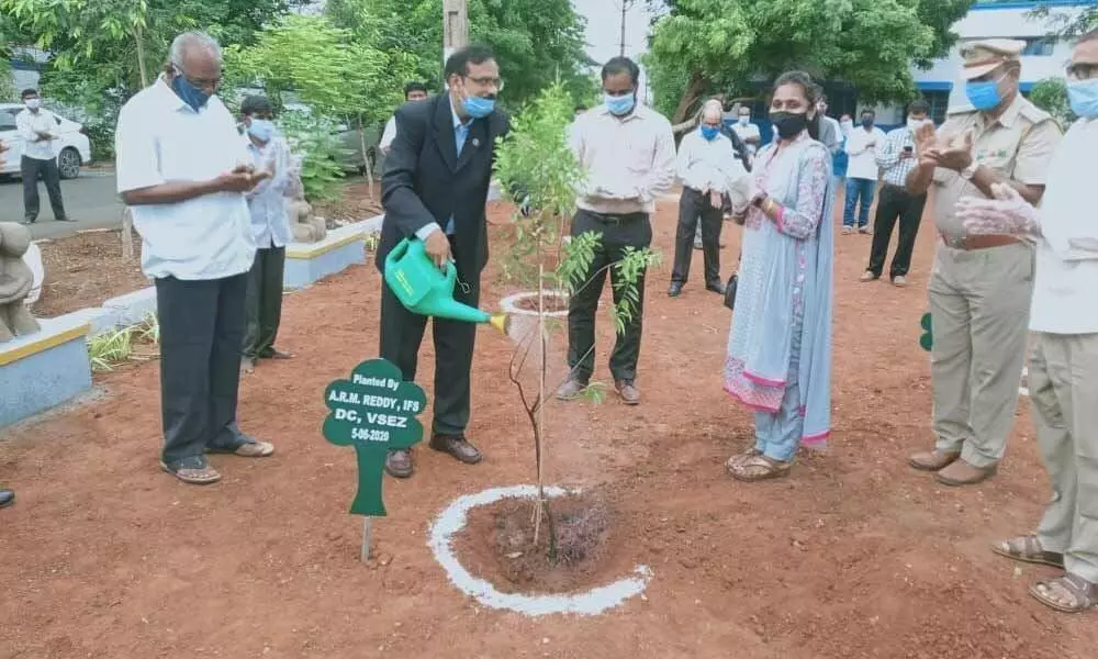 VSEZ Zonal Development Commissioner A Rama Mohan Reddy on Friday kick started the plantation drive
