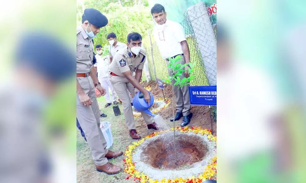 Urban SP A Ramesh Reddy planting a sapling at AR grounds in Tirupati on Friday to mark World Environment Day